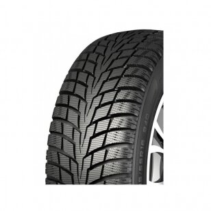 Padangos NANKANG ICE-1 95 Q XL 195/65R15